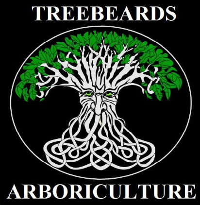 Treebeards