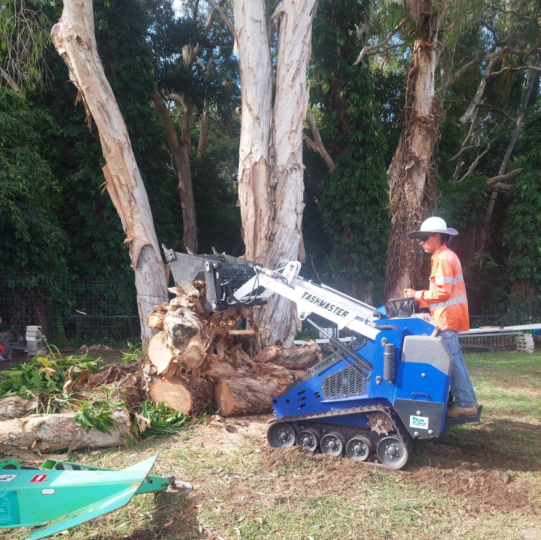 tree services mackay